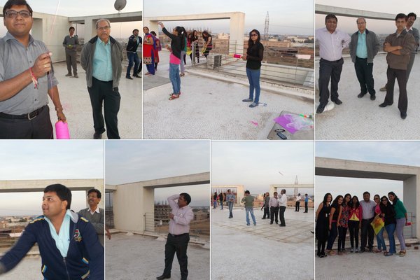 Kite Festival 2015
