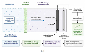 Challenges in free chlorine measurement in drinking water