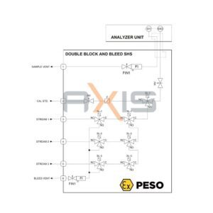 Double Block And Bleed System | Axis India